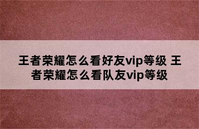 王者荣耀怎么看好友vip等级 王者荣耀怎么看队友vip等级